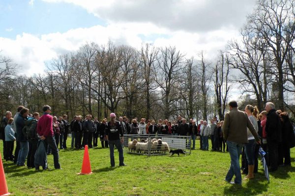 workshop-schapendrijven-events-company-2