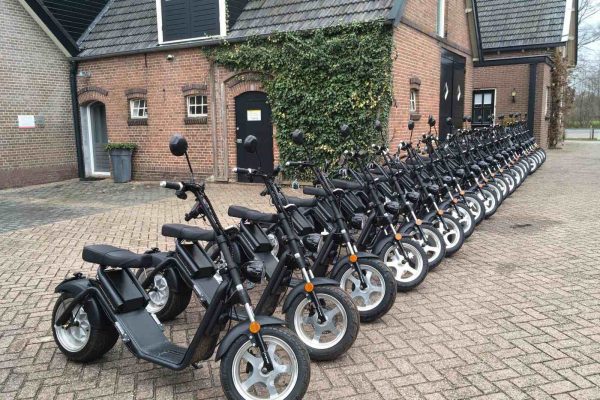echoppers op rij echoppers op rij